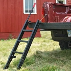 ladder.webp